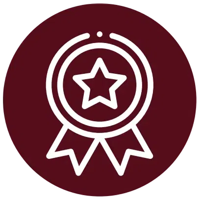 excellence icon